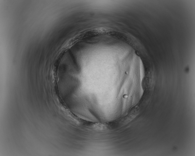 X0000116660762200912291637