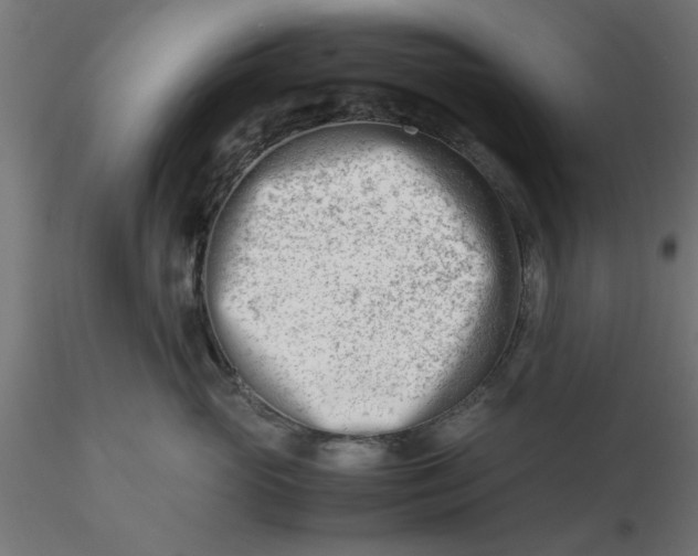 X0000116660765200912291637