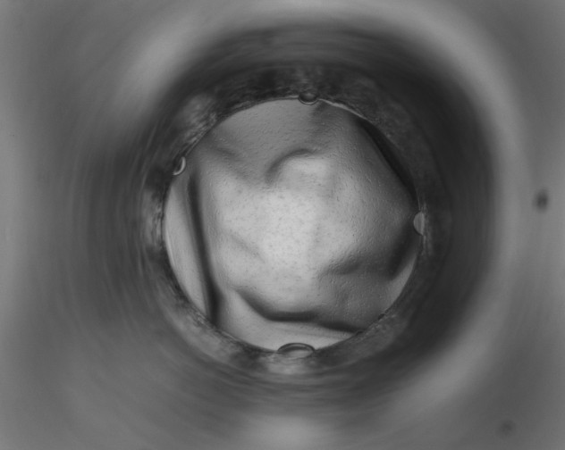 X0000116660766200912291637