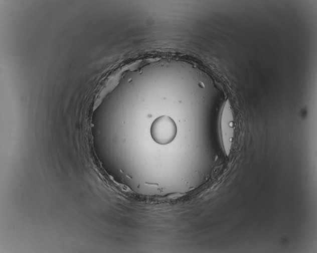 X0000116660769200912291637