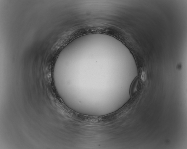 X0000116660771200912291636