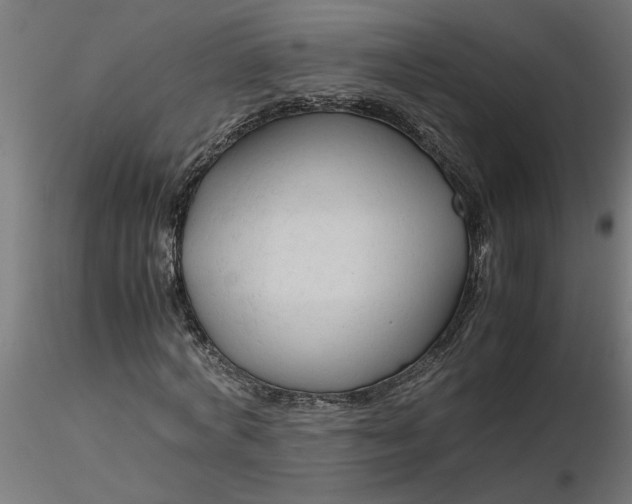 X0000116660772200912291636