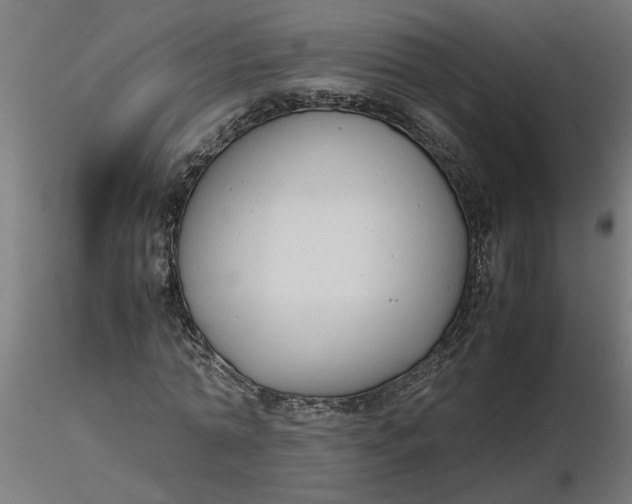 X0000116660774200912291636