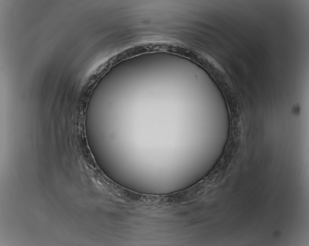 X0000116660775200912291636