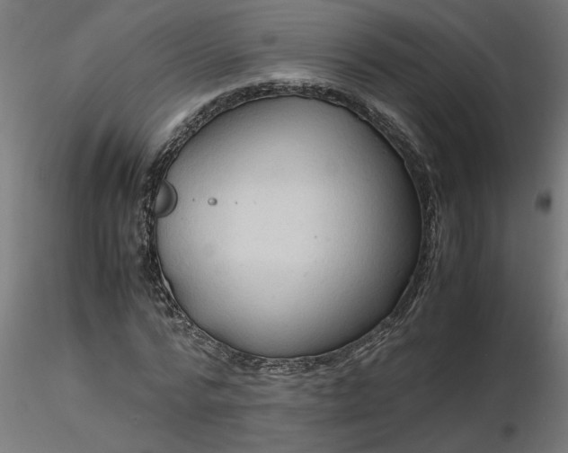 X0000116660776200912291636