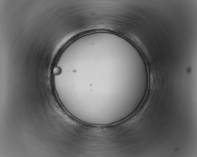 X0000116660780200912291636