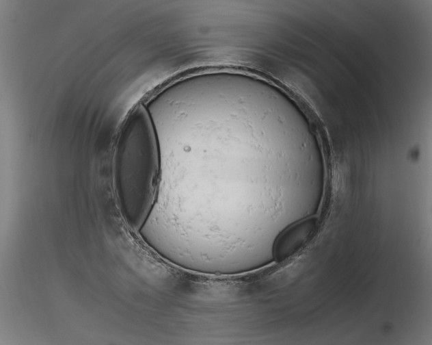 X0000116660781200912291636