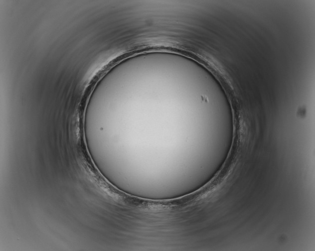 X0000116660782200912291636