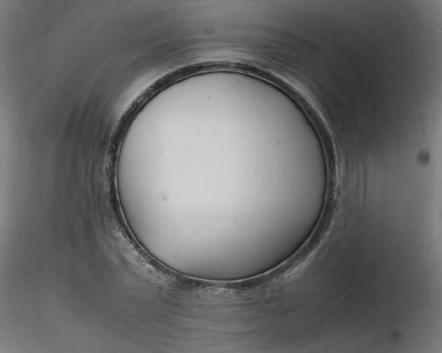 X0000116660783200912291636