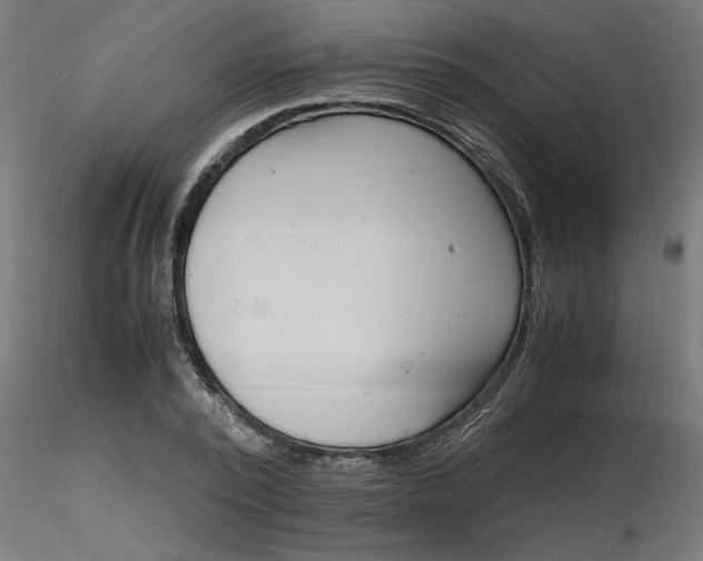 X0000116660784200912291636