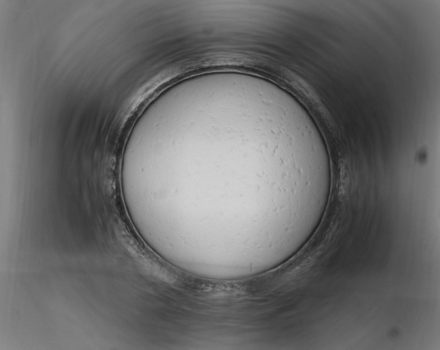 X0000116660786200912291636