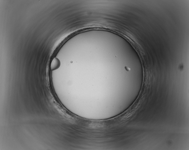 X0000116660788200912291636