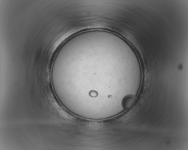 X0000116660789200912291636