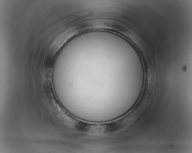 X0000116660793200912291636