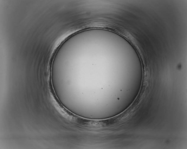 X0000116660795200912291636