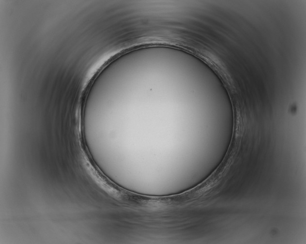 X0000116660796200912291636