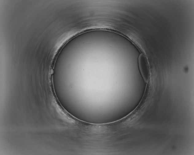 X0000116660797200912291636