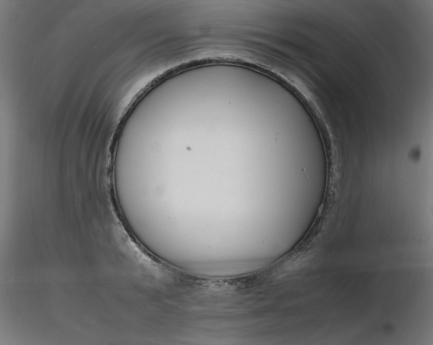 X0000116660799200912291636