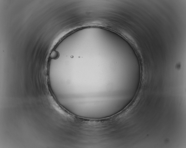 X0000116660800200912291636