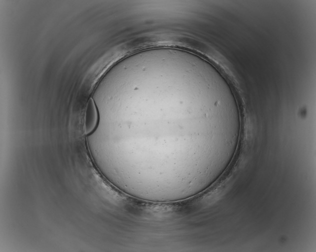 X0000116660801200912291636