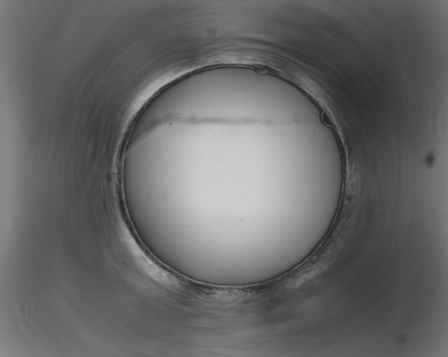 X0000116660803200912291636