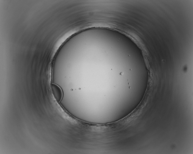 X0000116660804200912291636