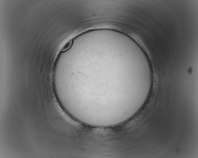 X0000116660805200912291636