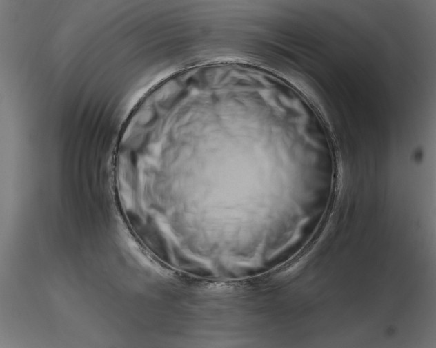 X0000116660806200912291636