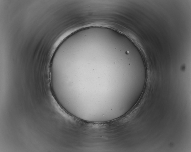 X0000116660808200912291636