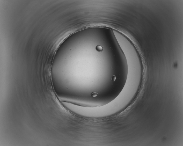 X0000116660809200912291636