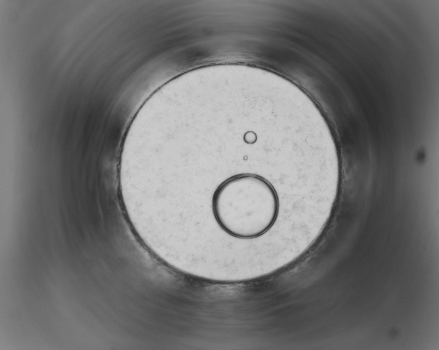 X0000116660810200912291636