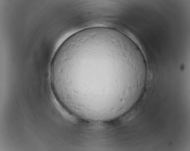 X0000116660811200912291636