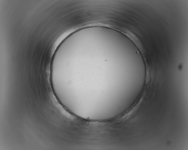 X0000116660812200912291636