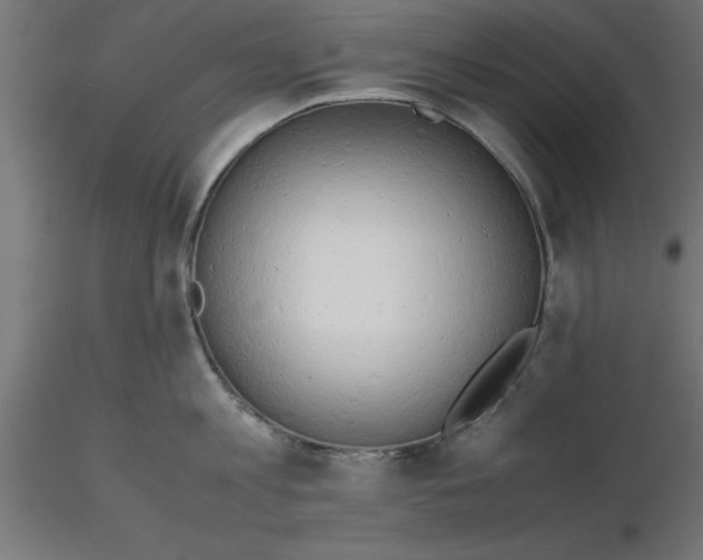 X0000116660813200912291636