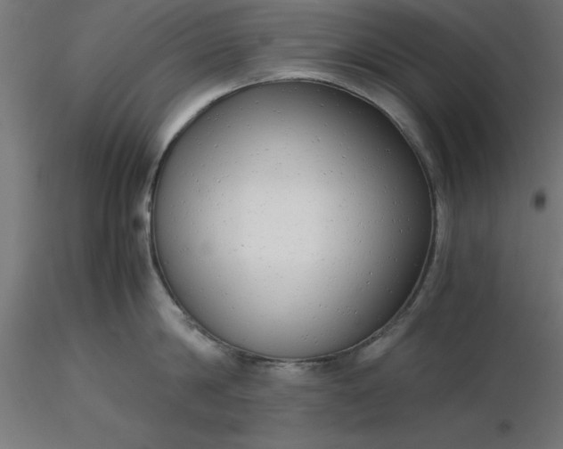 X0000116660814200912291636