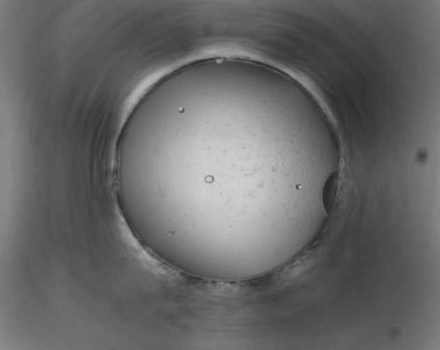 X0000116660815200912291636