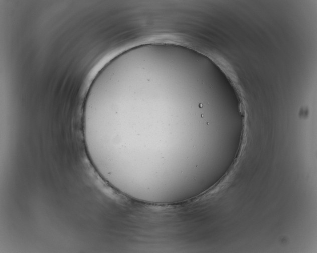 X0000116660816200912291636