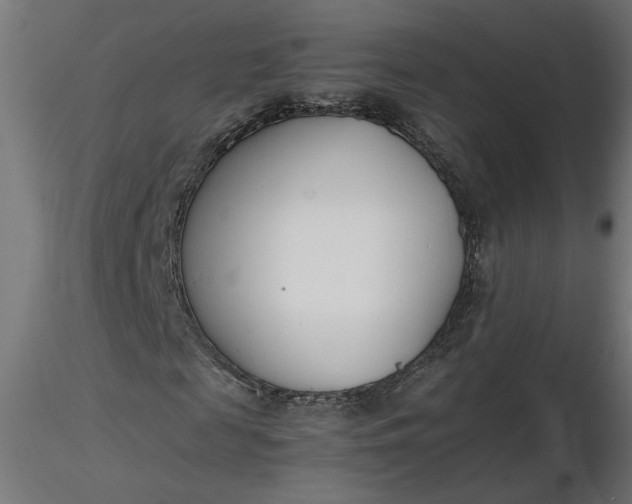 X0000116660817200912291635