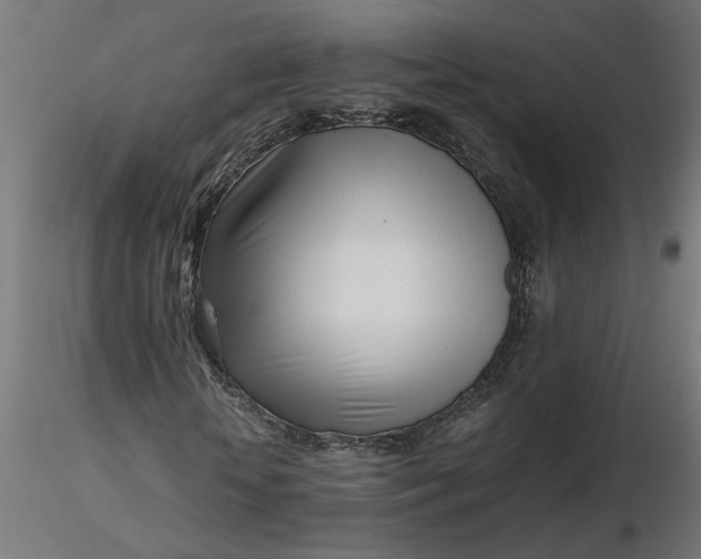 X0000116660818200912291635