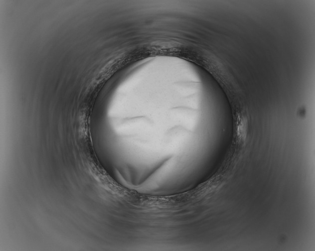 X0000116660819200912291635