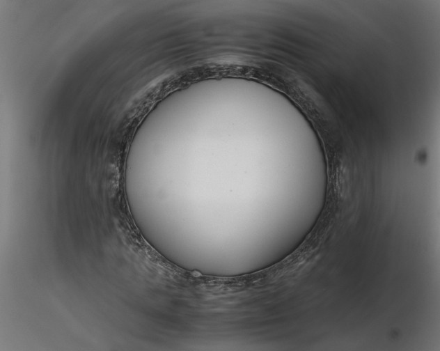 X0000116660821200912291635