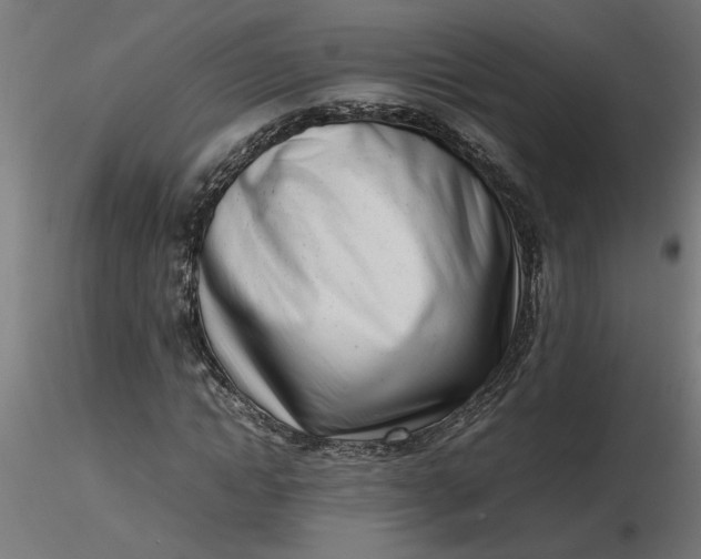 X0000116660822200912291635