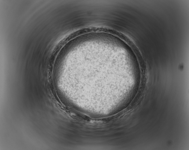 X0000116660823200912291635