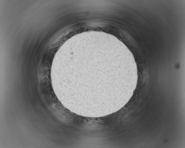 X0000116660824200912291635