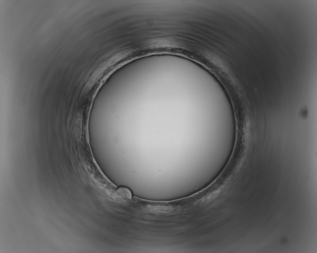 X0000116660825200912291635