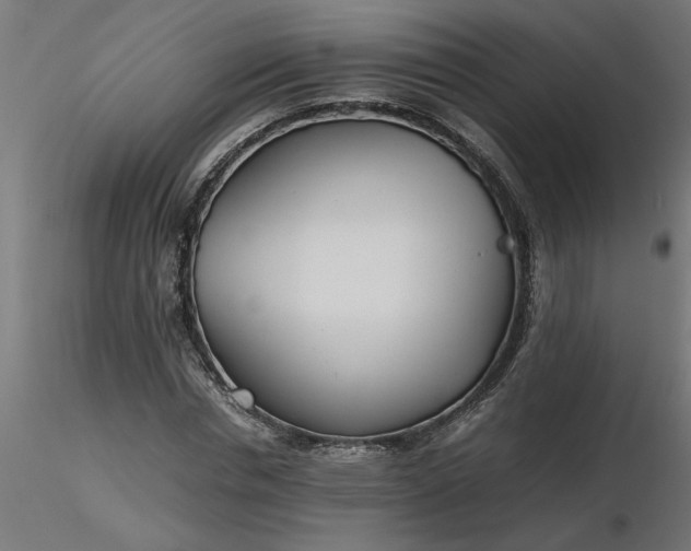 X0000116660826200912291635