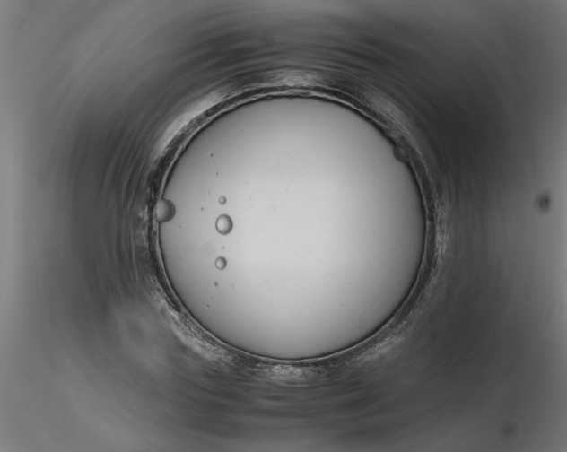 X0000116660827200912291635