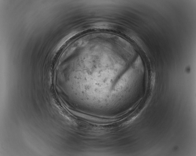 X0000116660829200912291635