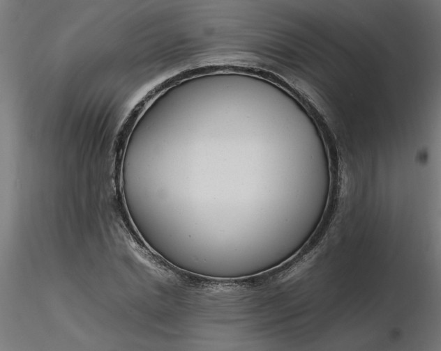 X0000116660830200912291635