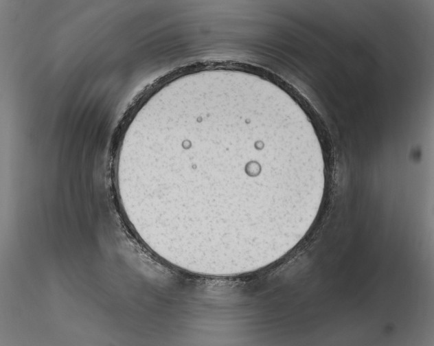 X0000116660832200912291635